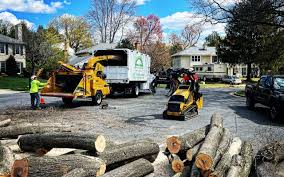 Mcdonald, OH  Tree Services Company