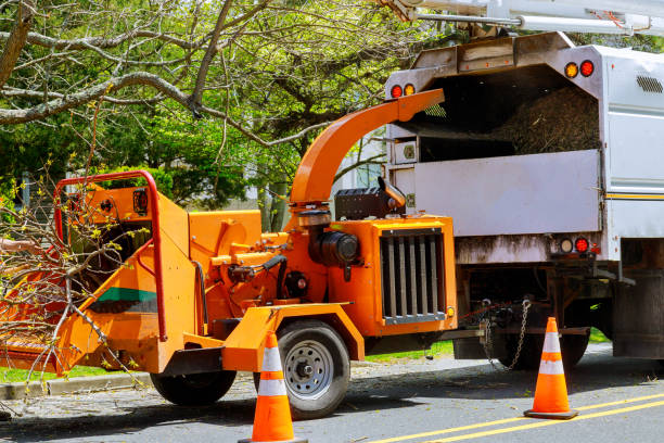 Why Choose Our Tree Removal Services in Mcdonald, OH?